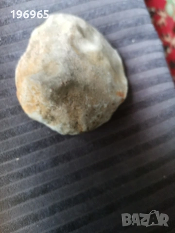 древен каменен фосил , снимка 4 - Колекции - 53220347