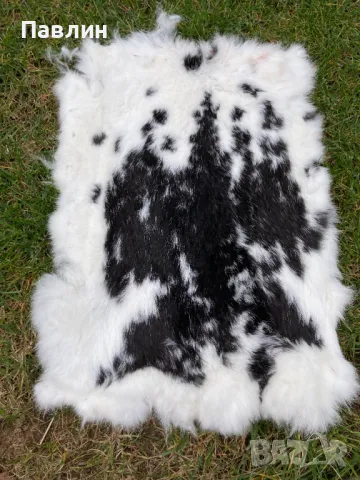 Заешки кожи