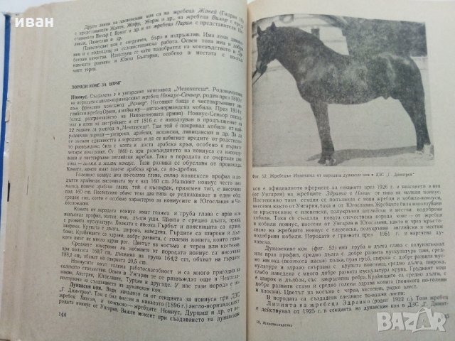 Животновъдство - Д.Димитров,П.Цонев - 1974 г., снимка 8 - Специализирана литература - 30444258