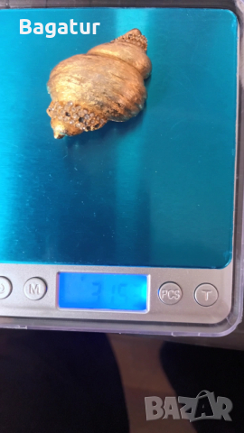 Винтидж стара брошка позлата,раковина,, снимка 10 - Антикварни и старинни предмети - 54044210