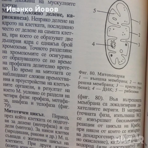 Илюстрован речник по биология, Иван Москов, Снежана Томова, снимка 6 - Учебници, учебни тетрадки - 55748707