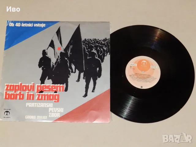 Грамофонни плочи - цветни винили 12", снимка 3 - Грамофонни плочи - 55725901