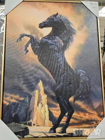 картини , снимка 3 - Картини - 47960910