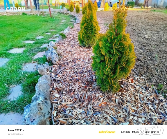 Дървесен чипс / Мулч / Черница , снимка 11 - Оранжерии - 53778872