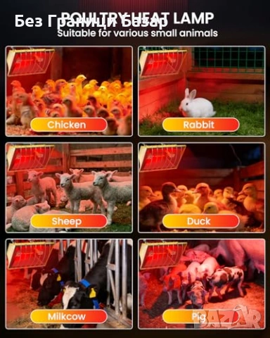 Нова Отоплителна лампа за птици 250W водоустойчива с 3 метра кабел за кокошарник, снимка 6 - Други стоки за животни - 54046755