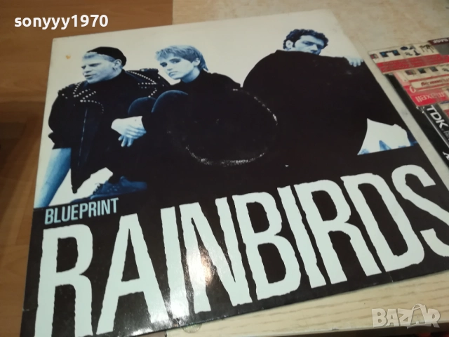 RAINBIRDS-MADE IN WEST GERMANY 2808251724, снимка 3 - Грамофонни плочи - 51525419