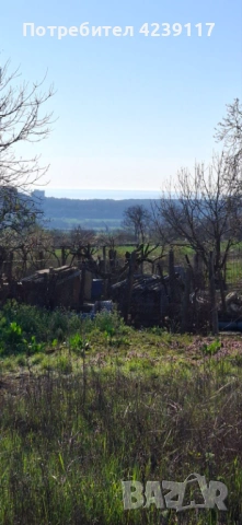 Собственик продава Дворно Място в с. Рогачево, снимка 2 - Парцели - 54112941