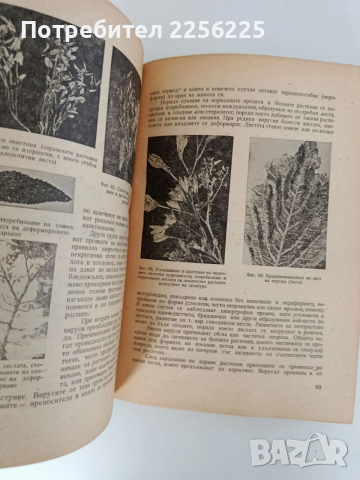 Фитопатология 1964г, снимка 4 - Специализирана литература - 52790203