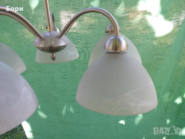 Немски полилеи, снимка 3 - Полилеи - 34331610