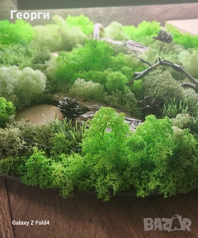 Картини със скандинавски мъх, снимка 10 - Картини - 52174345