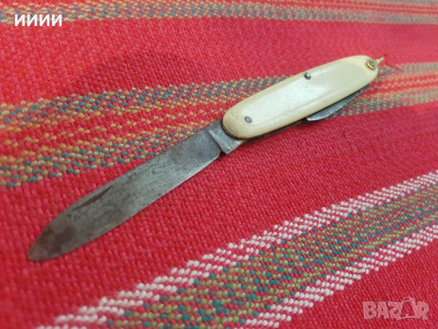 Ножка слонова кост 