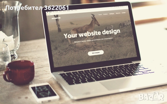 Професионална изработка на сайтове