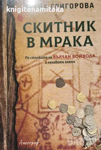 Скитник в мрака - Ирена Григорова, снимка 1