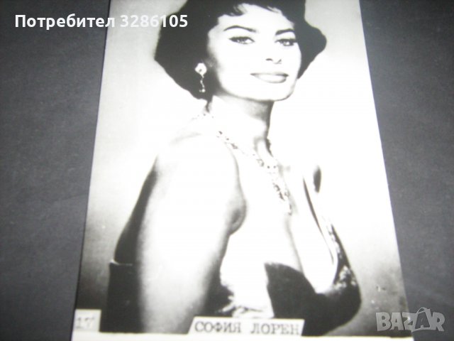 снимки-тип картичка на софия лорен, снимка 3 - Колекции - 36659040