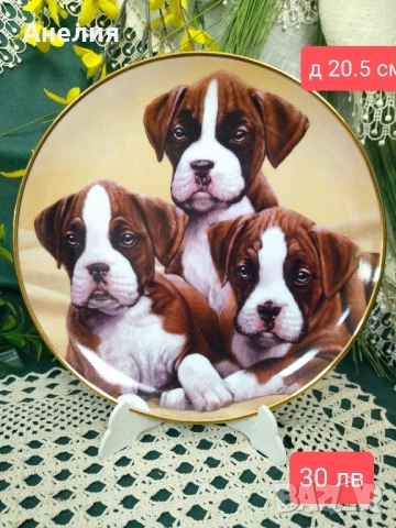 Колекционерски чинии Боксер, снимка 11 - Декорация за дома - 51883321