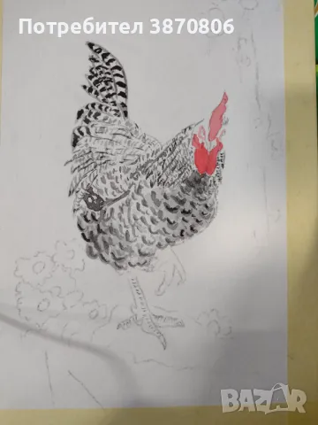 Рисунка акварел - петел, снимка 3 - Картини - 49566778