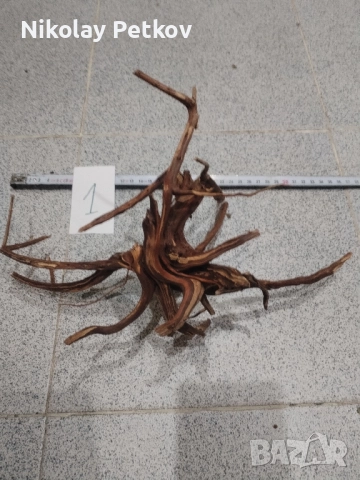 Корени за аквариум, терариум, паладиум 