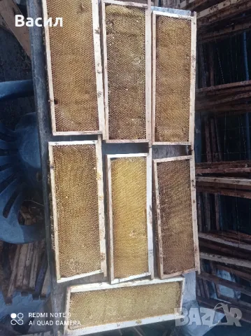 магазинни пити, снимка 2 - За пчели - 50167752