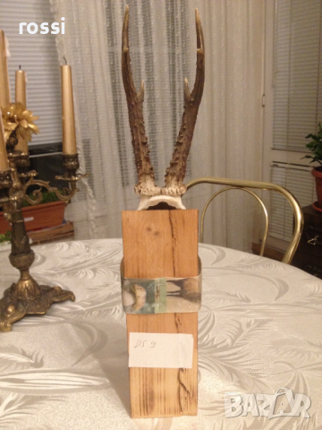 Немски трофей сръндак. Документ., снимка 8 - Декорация за дома - 36571800