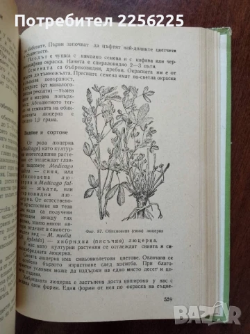 Растениевъдство, снимка 2 - Специализирана литература - 50959701