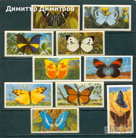 Пеперуди - 24 бр.стари английски чаени картички, снимка 2 - Колекции - 40860014