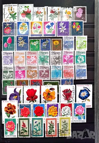 Пощенски марки цветя 260 бр.  К.1, снимка 4 - Филателия - 48877268