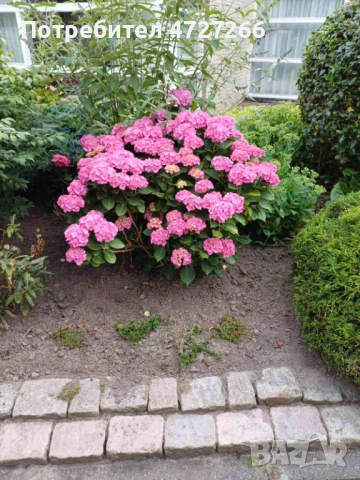 Почистване на входове,апартаменти