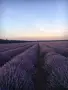 Продавам етерични масла на едрро, снимка 4