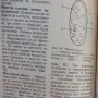 Илюстрован речник по биология, Иван Москов, Снежана Томова, снимка 6