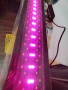 Специализирани аквариумни лампи , снимка 5