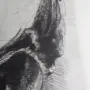 Стоимен Стоилов , снимка 7