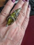 сребърен пръстен с перидот, снимка 5