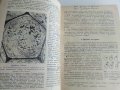 Анатомия на растенията - К.Попов,Р.Попова - 1964г. , снимка 3