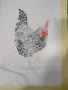 Рисунка акварел - петел, снимка 3