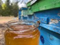 Мед- реколта 2023  - 7 лв., снимка 1 - Пчелни продукти - 42057045