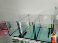 Големи аквариуми Двойно стъкло - Различни размери, снимка 2
