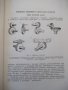 Книга "Наладка зуборезных станков-Е.И.Гальперин" - 216 стр., снимка 4