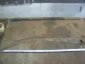 ръчна коса за косене на трева , снимка 1