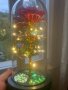 LED лампа , ЧЕРВЕНА ВЕЧНА РОЗА, снимка 10
