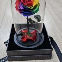 Омагьосаната роза – лимитирано издание Вечна роза - Цветна радост в подаръчна опаковка, снимка 3 - Декорация за дома - 44588012
