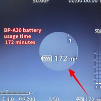 Резервна батерия Battiz BP-A30, съвместима с EOS C200, EOS C70, C200B, C220B, EOS C300 Mark II, C300, снимка 3 - Батерии, зарядни - 40378392
