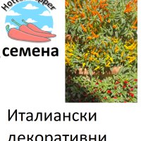 Семена за екзотични люти чушки, снимка 9 - Сортови семена и луковици - 44274579