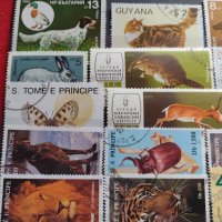 Пощенски марки смесени от цял свят ЖИВОТНИ за КОЛЕКЦИЯ 22615, снимка 2 - Филателия - 40344342