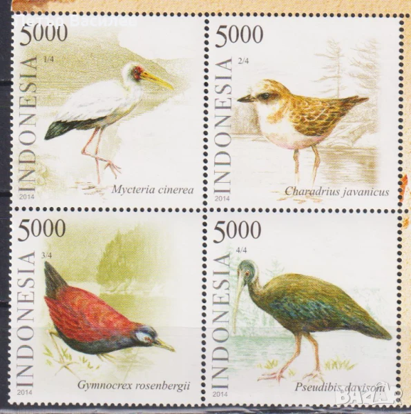 Чисти марки Фауна Птици 2012 2014 от Индонезия, снимка 1