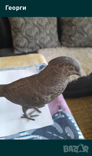 Голяма бронзова птица, снимка 1