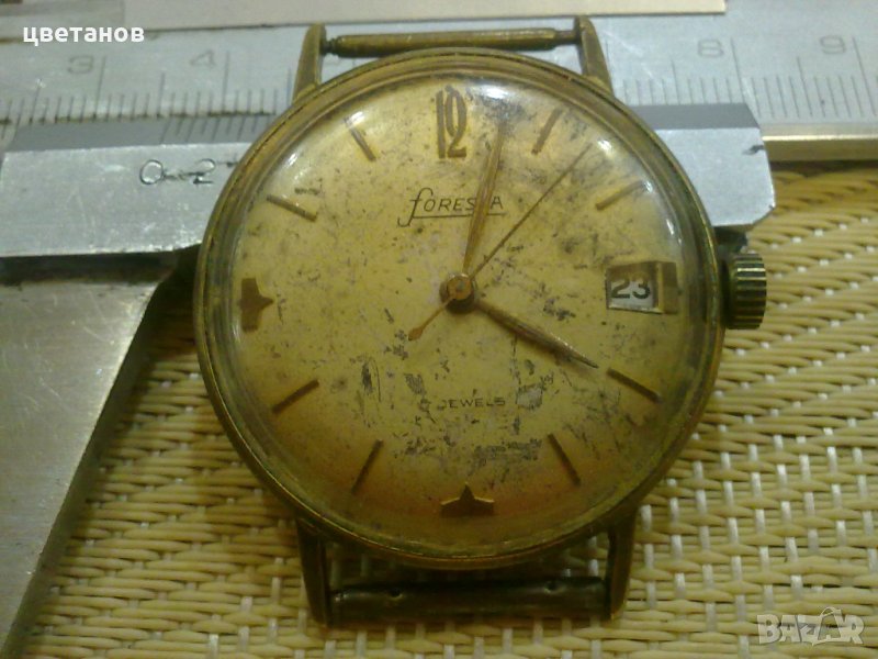  FORESTA, снимка 1