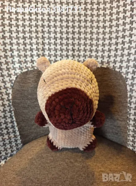 Капибара, снимка 1