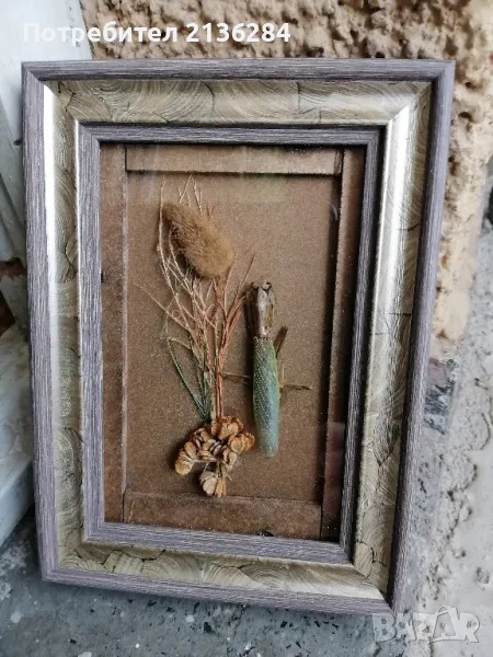 Картини, снимка 1