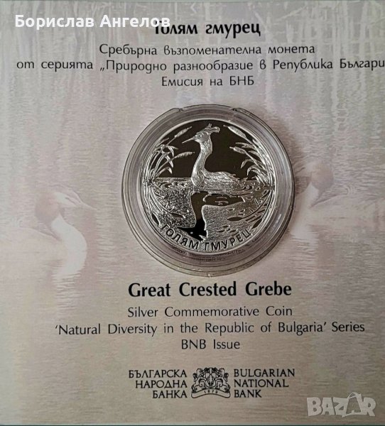 Сребърна монета- Голям гмурец!!! , снимка 1