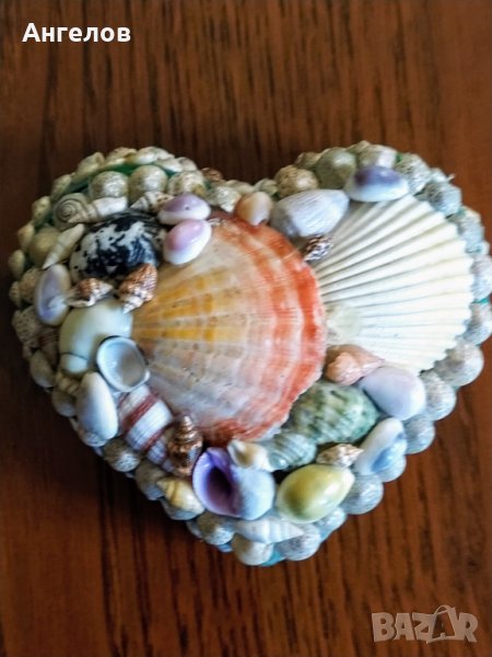 Кутийка за "нещица" с екзотични раковини, снимка 1